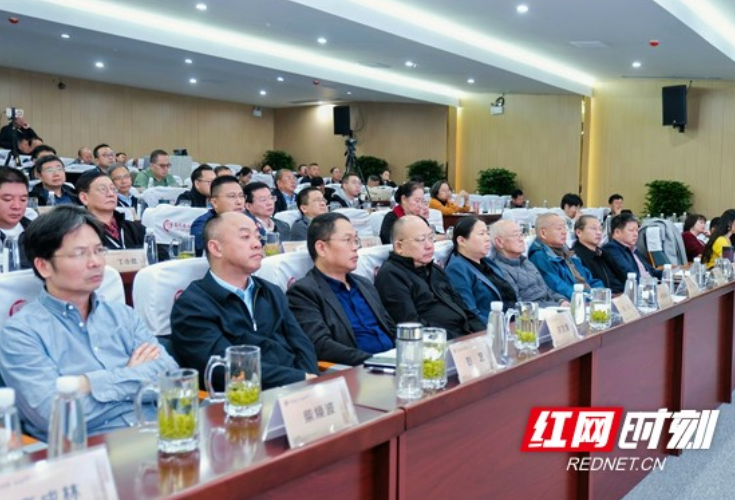 专家学者探讨里耶秦简保护利用  让文物“活”起来“火”起来