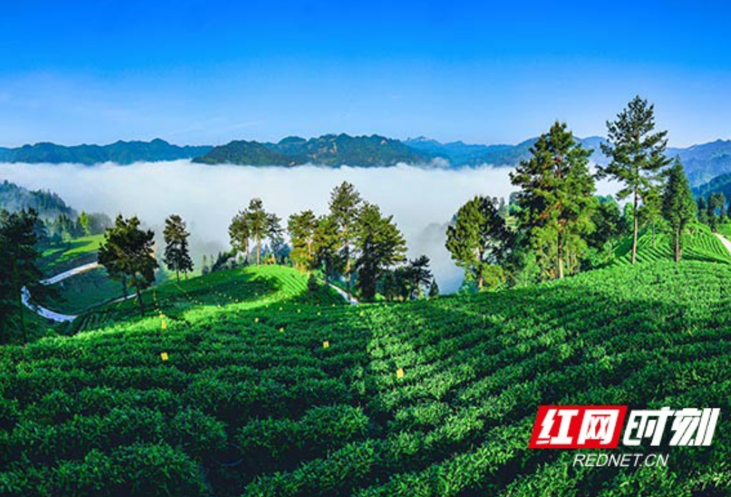 吉首市获评全省文旅融合化主导型县域经济先进县