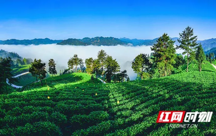 吉首市获评全省文旅融合化主导型县域经济先进县