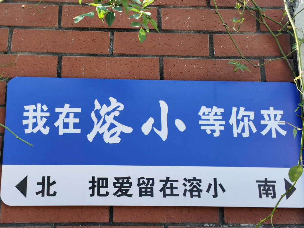 湘西州第三届“新华杯”中小学生阅读素养大赛丨溶江小学代表队：以阅读凝聚力强 智慧锻造担当