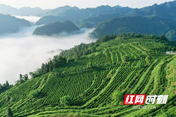 图片3.marked.jpg