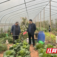 春耕好时节 凤凰联通结对帮扶暖民心