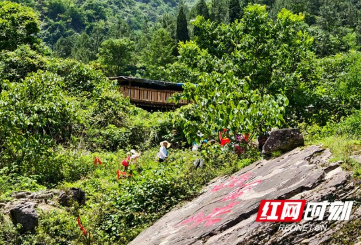 湘西龙山：从西眉峡徒步上八面山  挑战与美景结合的旅程