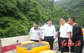 刘涛在龙山县督导防汛抢险救灾工作时强调：抓紧抓实抓细防汛救灾各项工作 全力守护人民群众生命财产安全