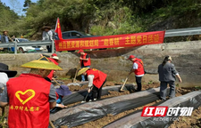 锦旗高展情义重，帮扶虽别情谊长——湘西州自然资源和规划局与张刀村的深厚情谊