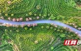 乡村振兴在路上丨数字+科技赋能乡村振兴  助力古丈加“数”跑