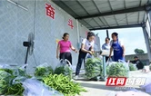 扎根苗乡沃土 书写振兴答卷——记全省担当作为优秀驻村第一书记王秋菊