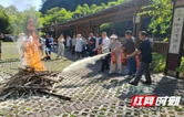 湘西龙山：景区消防实战体验开演