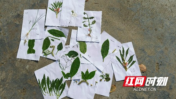 图片21.marked.jpg 图片21.marked.jpg