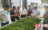聚力合作深 接续“衡永”情 ——衡阳市对口帮扶永顺县阶段性成果显著