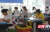 凤凰乡村服装产业订单翻番  村民就业增收喜迎新生活