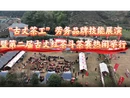 红视频｜2026年“古丈茶工”劳务品牌技能展演暨第二届古丈红茶斗茶赛热闹举行
