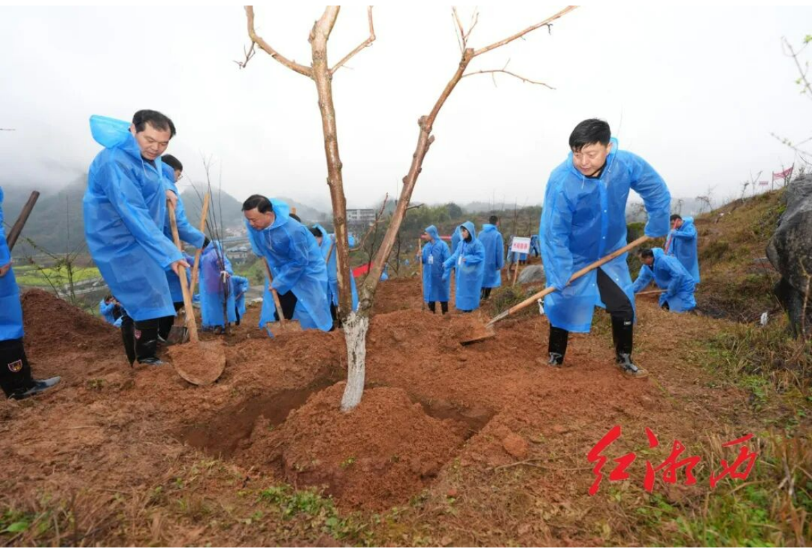 刘涛吴凌频向邦伟等州领导参加2026年全民义务植树活动