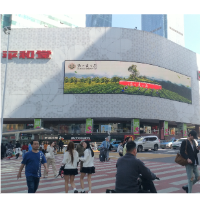 千屏联播 | 春茶吐新绿 “中国黄金茶之乡”邀您品味限时的“春日鲜爽”