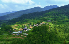 农技包联进老区 春耕赋能促单产——湘西州农科院专家赴永顺塔卧、车坪开展春耕科技服务