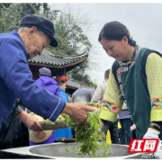 以技亮彩，这场非遗村茶大晒为产业发展增底气