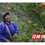 泸溪：开往小康的“电商快车”