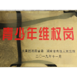保靖法院清水坪人民法庭荣获湖南“青少年维权岗”荣誉称号