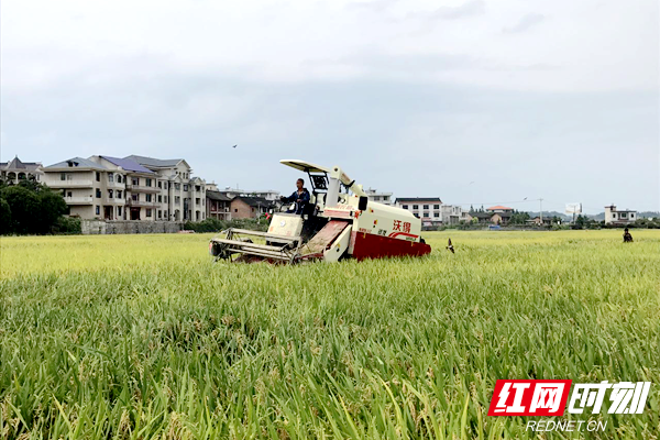 003.png