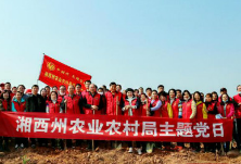 湘西州农业农村局：帮果农栽树 助产业发展