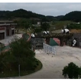 凤凰：大熊猫生活状态良好 预计6月28日试开园