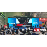 2020湖南旅博会在长沙结束 湘西州获佳绩