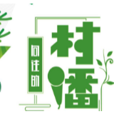 《向往的村播》初赛开播 百位选手为古丈“代言” 