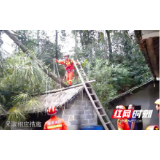 湘西：降雨致树木翻根房屋受损 花垣消防解危机