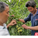 立足“小切口” 破解大难题——泸溪县兴砂村推行“互助五兴”治理模式