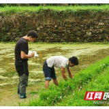 湘西州农科院到凤凰开展种性安全监管工作
