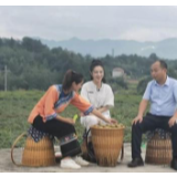 中国第一带货女主播薇娅走进十八洞村 直播1小时销售超千万