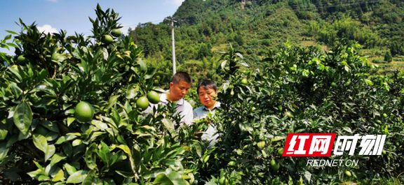 图片 5.marked.png 图片 5.marked.png