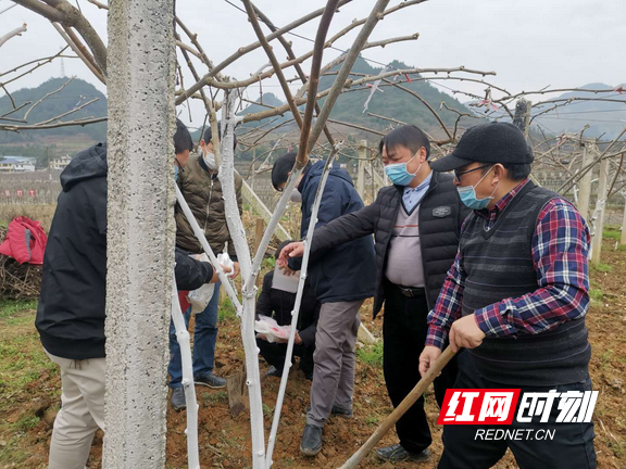 图片 4.marked.png 图片 4.marked.png