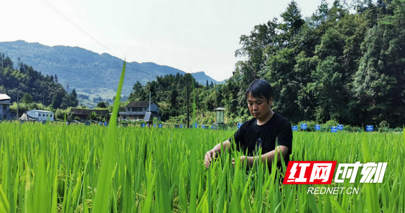 图片 1.marked.png 图片 1.marked.png