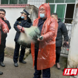 凤凰:水打田乡开展疫情防控、交通安全、禁渔禁捕综合宣传整治行动