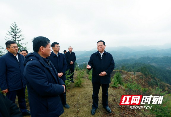 叶红专调研永顺塔卧镇农业产业发展情况