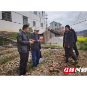 湘西州：发展种植赤松茸助农增收