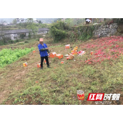 违规燃放烟花爆竹 花垣望城一男子被花垣公安处罚