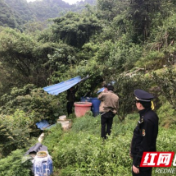 吉首城管：部门合力 整治绕城线周边乱搭建