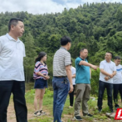 吉首市米坡村：土地复垦让荒地变“宝地”