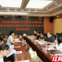 湘西州政府智慧办专家组来州自然资源和规划局调研智慧湘西建设工作