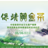 预告｜首开先河！保靖黄金茶种质基因库建设将于6月6日启动