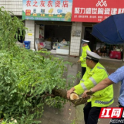 泸溪:狂风骤雨吹倒大树 民警清除路障保安全