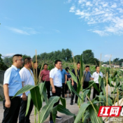 彭武学到武溪镇、浦市镇调度乡村振兴等重点工作