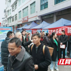 龙山：6场退役军人军属就业专场招聘会1120个岗位等你来