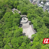 凤凰南华山：12万株绣球花打造花海景观 升级场景5月呈现