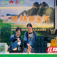 保靖黄金茶入驻“长沙夜生活”主题集市