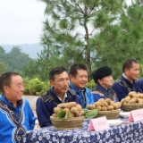 永顺：处处闪耀“志愿红” 文明新风吹满城