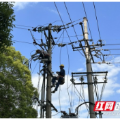 国网泸溪县供电公司：全力以赴做好高考电力“陪考人”