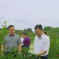 刘冬生到泸溪县达岚镇调研乡村振兴及安全生产工作